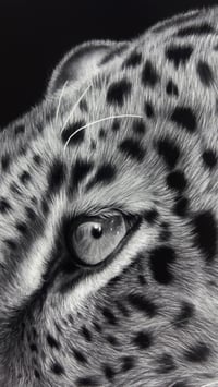 Image 4 of “Sovereign Stillness” gicleè print 