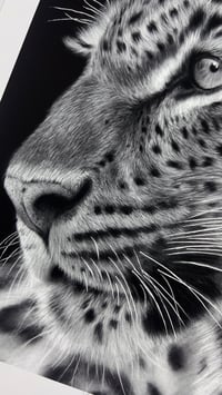 Image 6 of “Sovereign Stillness” gicleè print 