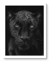 Image 4 of The big 5 Cats bundle-Collector’s Preorder (limited edition)