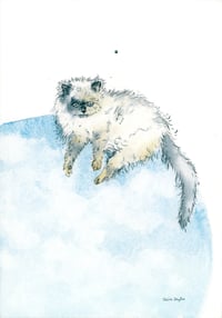 Image 14 of COMMISSION A STUDY of a Creature of your Affection (PET PORTRAIT)