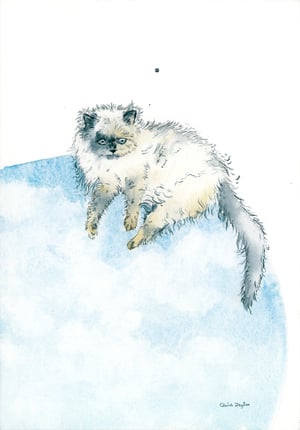 COMMISSION A STUDY of a Creature of your Affection