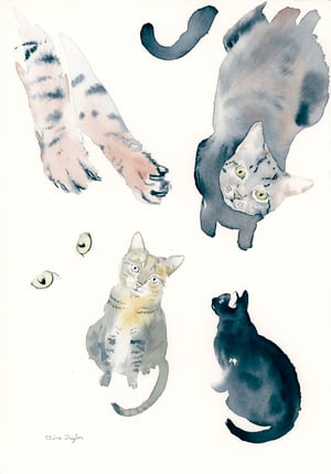 COMMISSION A STUDY of a Creature of your Affection