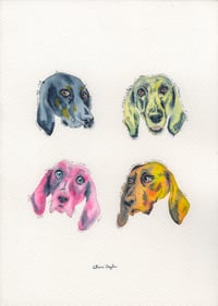 Image 16 of COMMISSION A STUDY of a Creature of your Affection (PET PORTRAIT)