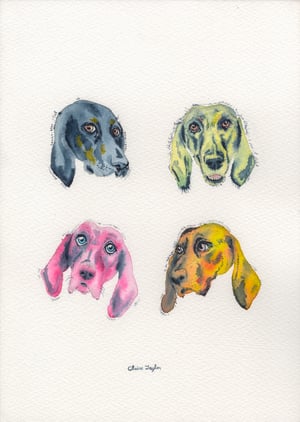 COMMISSION A STUDY of a Creature of your Affection