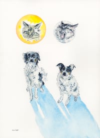 Image 17 of COMMISSION A STUDY of a Creature of your Affection (PET PORTRAIT)