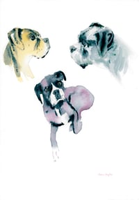 Image 18 of COMMISSION A STUDY of a Creature of your Affection (PET PORTRAIT)