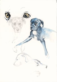 Image 20 of COMMISSION A STUDY of a Creature of your Affection (PET PORTRAIT)