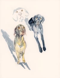 Image 21 of COMMISSION A STUDY of a Creature of your Affection (PET PORTRAIT)