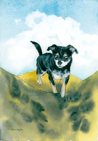 Image 23 of COMMISSION A STUDY of a Creature of your Affection (PET PORTRAIT)