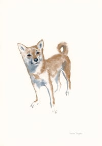 Image 22 of COMMISSION A STUDY of a Creature of your Affection (PET PORTRAIT)