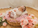 Litter Grace Rose Romper