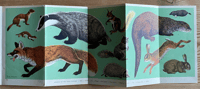 Image 2 of A Pantoscope Book Animals of the Open Country