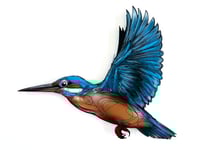 Image 1 of FINE ART PRINT " KINGFISHER "