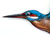 Image 3 of FINE ART PRINT " KINGFISHER "
