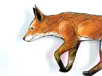 Image 2 of FINE ART PRINT " FOX A "