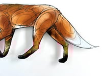 Image 4 of FINE ART PRINT " FOX A "