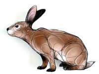 Image 1 of FINE ART PRINT " BUNNY A "