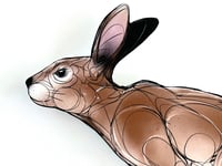 Image 3 of FINE ART PRINT " BUNNY A "