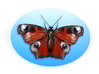 Image 1 of FINE ART PRINT " BUTTERFY B "