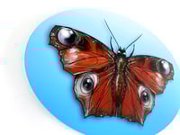 Image 3 of FINE ART PRINT " BUTTERFY B "