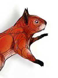 Image 3 of FINE ART PRINT " SQUIRREL C "