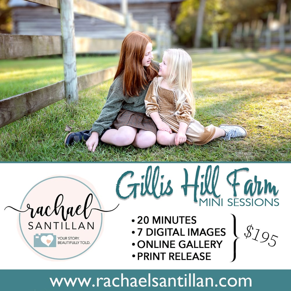 Image of 2025 Gillis Hill Farm Mini Session are sold out but you can order extra photos from your session!