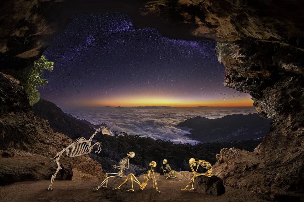 Image of Muybridge Horse