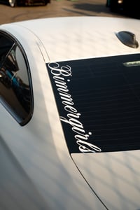 Image 1 of Bimmer Girls Windshield Banner