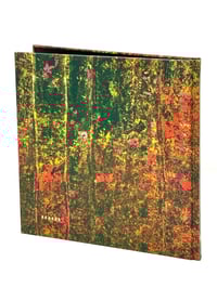 Image 2 of Serpent in the Wilderness - Andy Richter 