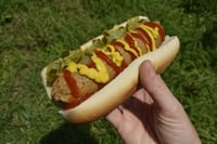 **JULY SPECIAL** Seitan Hotdogs