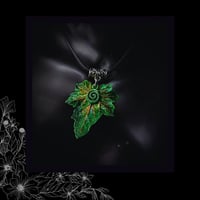 Image 3 of ☽ Bryonia Aestas ☾