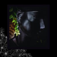 Image 4 of ☽ Bryonia Aestas ☾