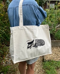 Image 2 of Anteater big bag