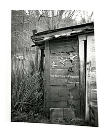 Image 1 of The Northeast Kingdom - Andrew Frost