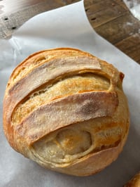 Butter Croissant 