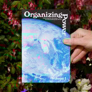 Organizing Power Volume 1