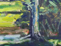 Image 4 of Loweswater in Summer - Framed Original