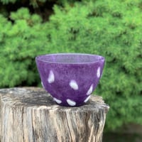 Image 1 of Bol – La venue de printemps 