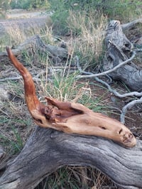 Image 2 of The Birth
