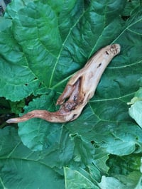 Image 1 of The Birth