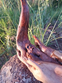Image 5 of The Birth