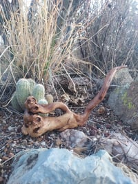 Image 3 of Entanglements