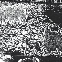 Purge Liquids / Sarcophagia Split 