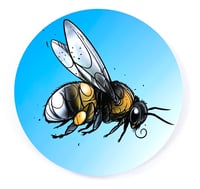 Image 1 of FINE ART PRINT " BUMBLEBEE A "