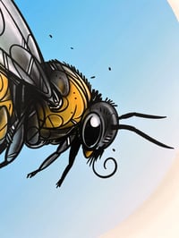 Image 3 of FINE ART PRINT " BUMBLEBEE A "