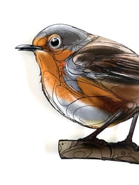 Image 2 of FINE ART PRINT " ROBIN "