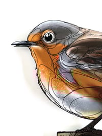 Image 4 of FINE ART PRINT " ROBIN "