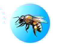 Image 1 of FINE ART PRINT " BEE B "