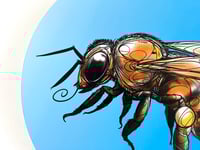 Image 2 of FINE ART PRINT " BEE B "