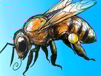 Image 4 of FINE ART PRINT " BEE B "